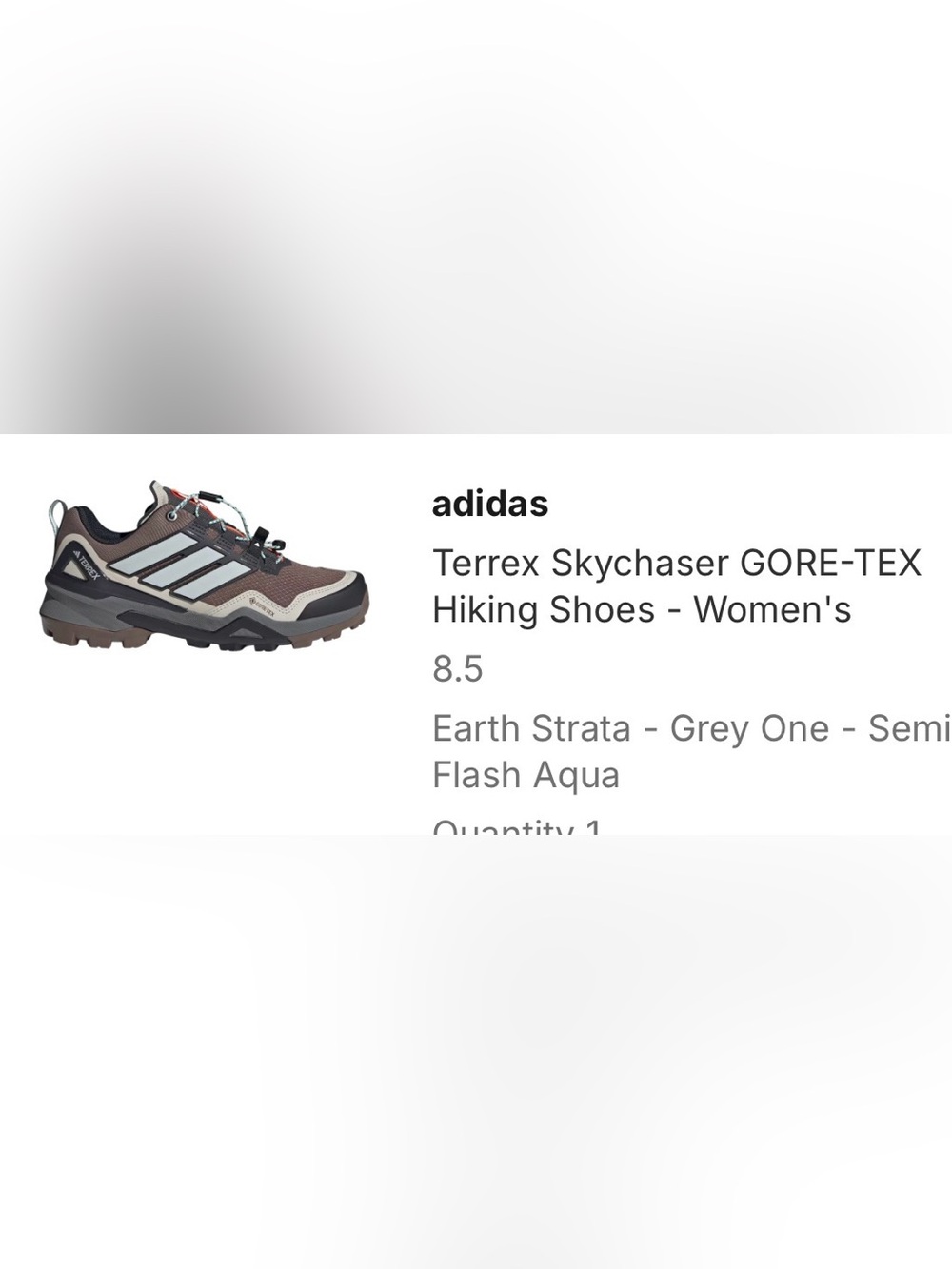 adidas Terrex Skychaser Hiking Shoes - Brown/Black/Tan